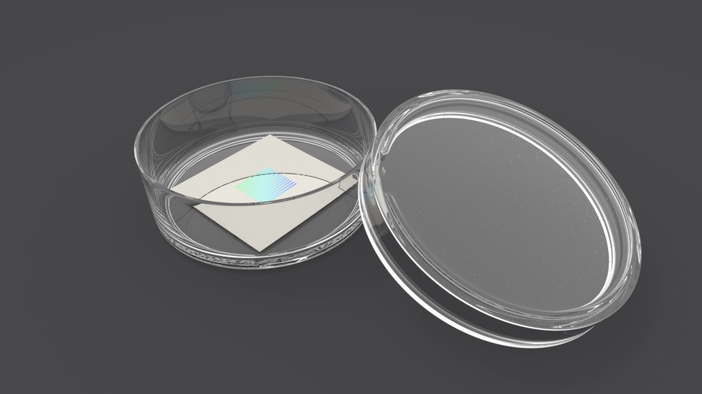 Petri dish with simple sample preview image 1